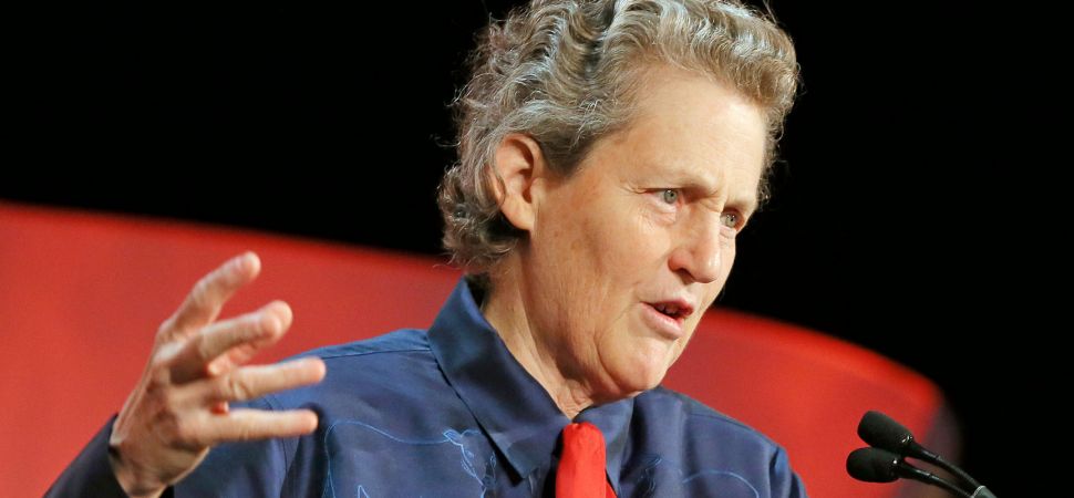 Autoridade mundial em bem-estar animal, Temple Grandin, participa de evento no Brasil