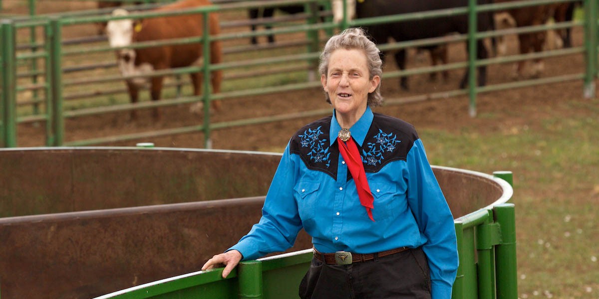 Temple Grandin vem ao Brasil promover bem-estar animal 