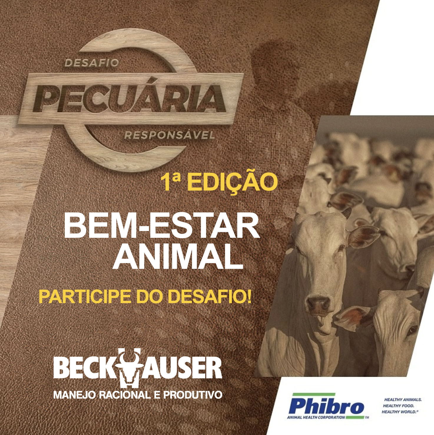 Dica da Beckhauser: entenda o processo de inscrição para o Desafio da Pecuária Responsável