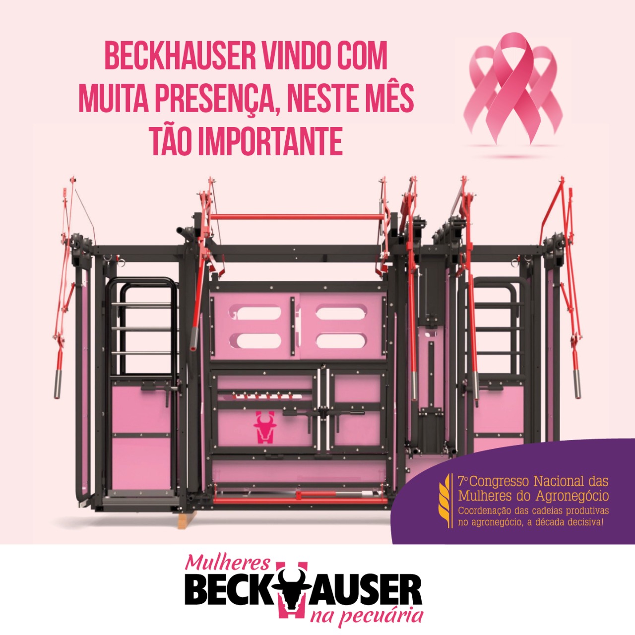 A história das Mulheres nos negócios e na Beckhauser