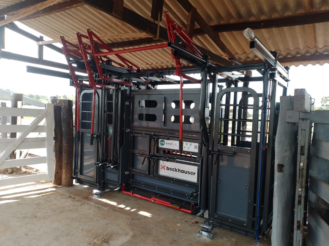 Escolha de equipamento de contenção bovina começa com o entendimento das necessidades do pecuarista e da fazenda